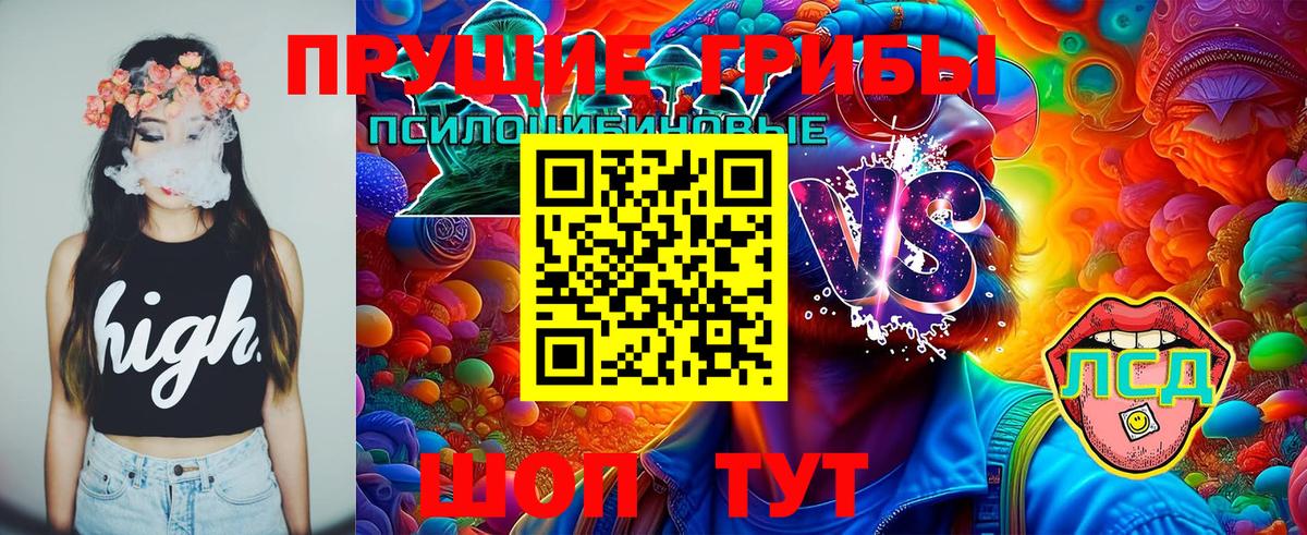 Донской  Галлюциногенные грибы прущие грибы  Вход с VPN 