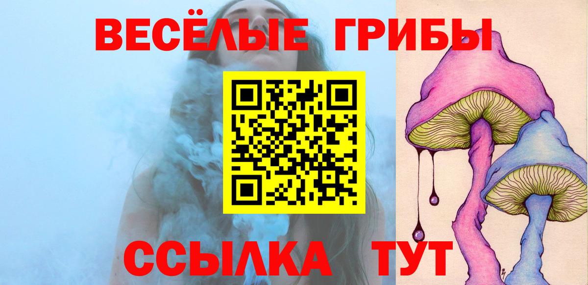 Псилоцибиновые грибы мицелий Донской